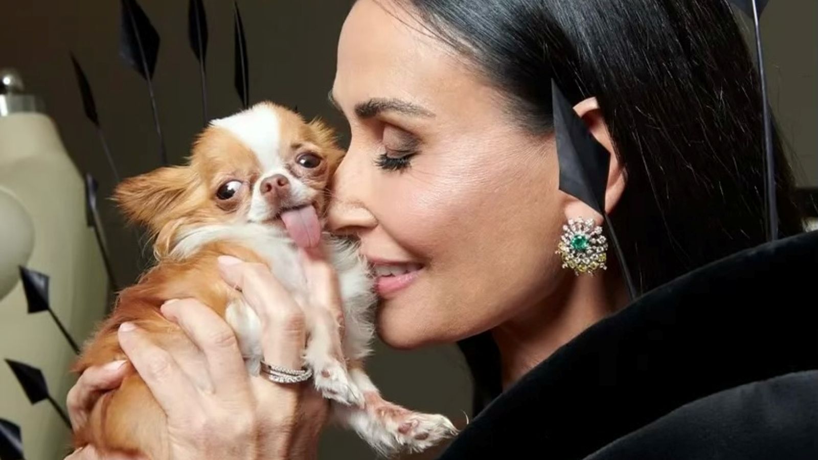 Pilaf, uma chihuahua de quatro anos, é a companhia constante de Demi Moore.