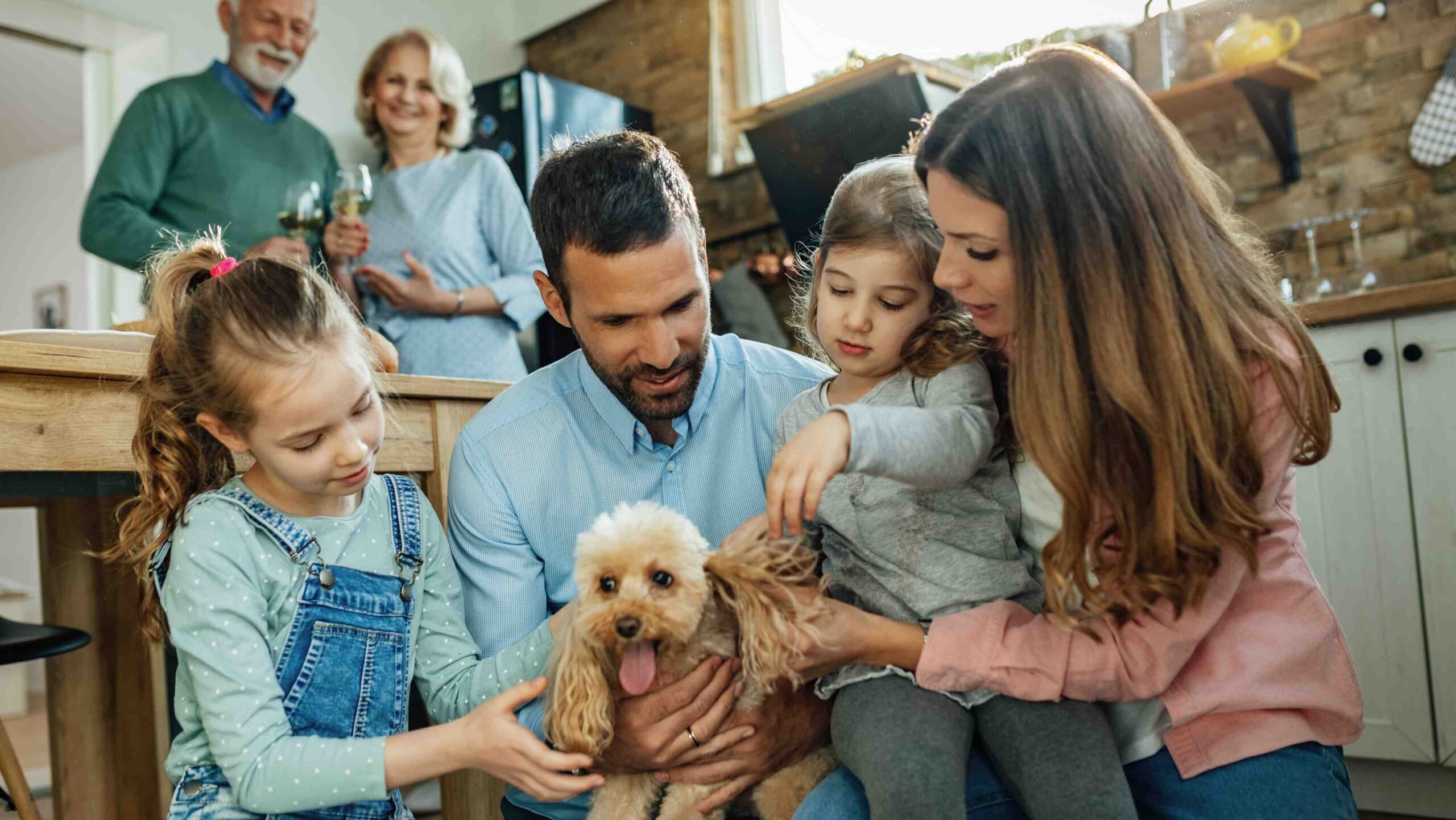 Nem tudo é cuidado: o que está por trás da relação com os pets