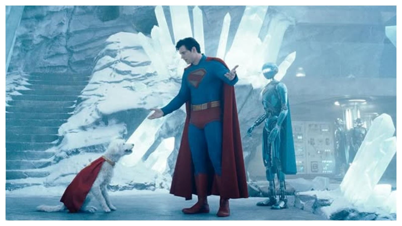 Concurso de ‘cãosplay’ elege o cachorro mais parecido com Krypto, parceiro do Superman