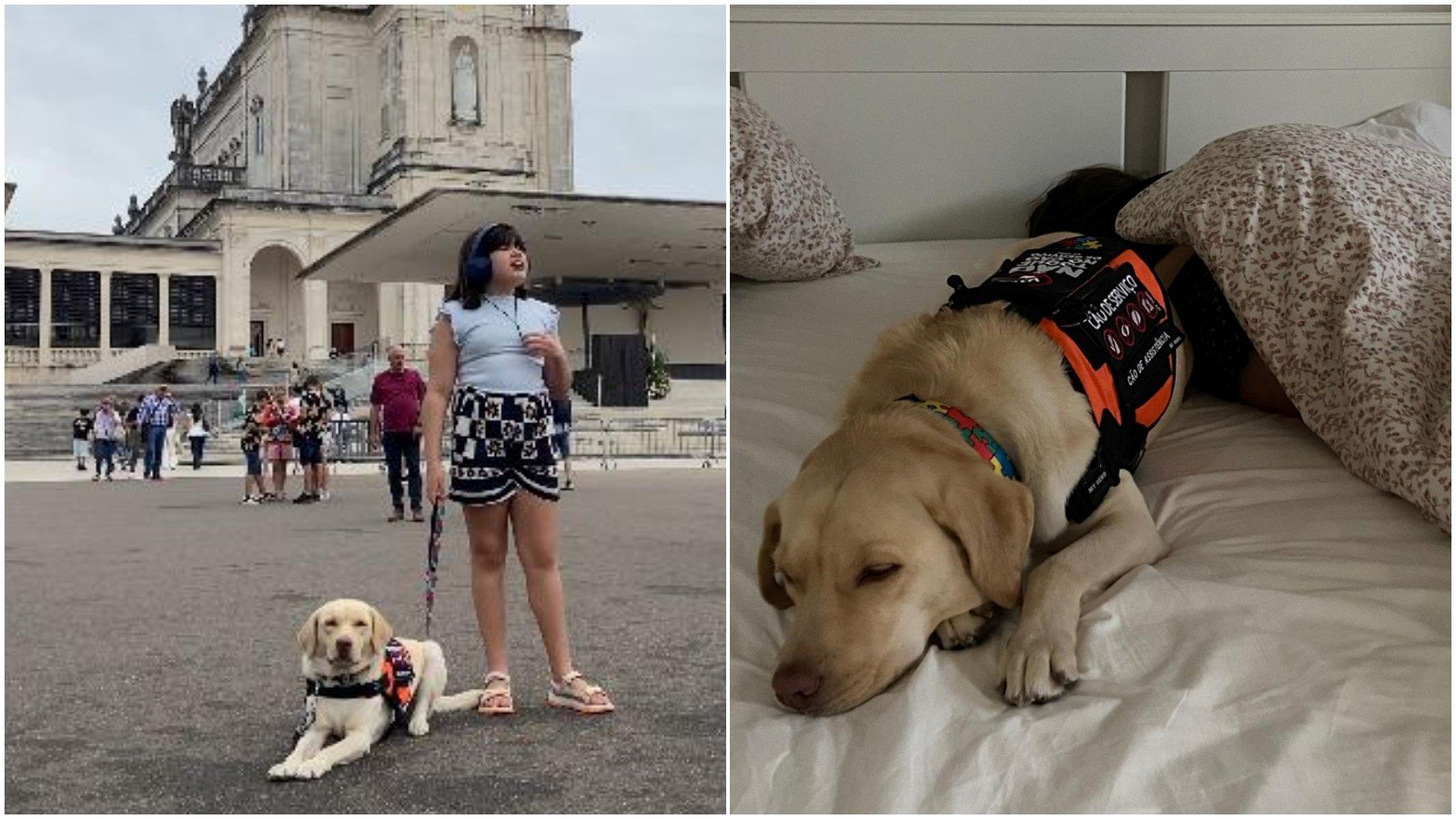 ‘Teddy reassumiu suas funções’, diz o pai de Alice, sobre o reencontro do cão e da menina