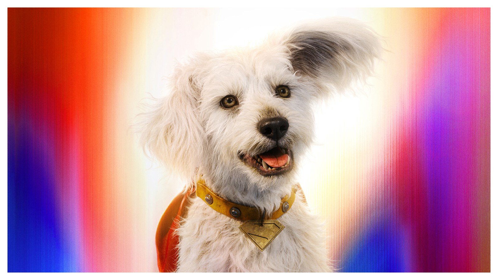 ‘Fun fest’ para Krypto, criada pela GoldeN, marca estreia de Superman
