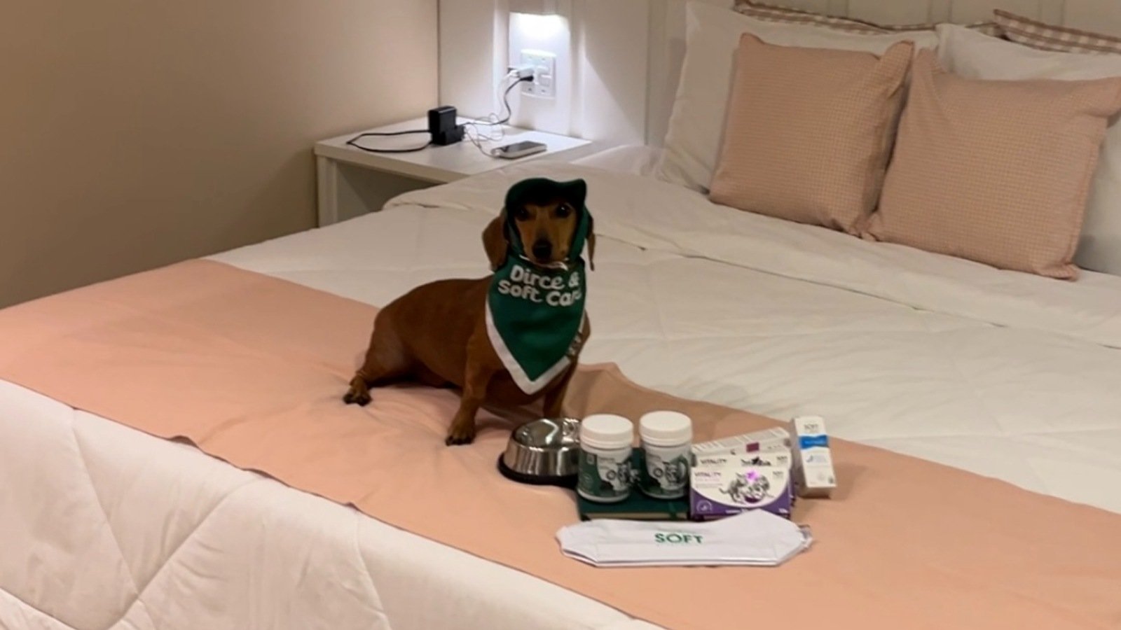 Resort pet-friendly da rede Matiz em Igaratá (SP) faz parceria com marca da Pet Society
