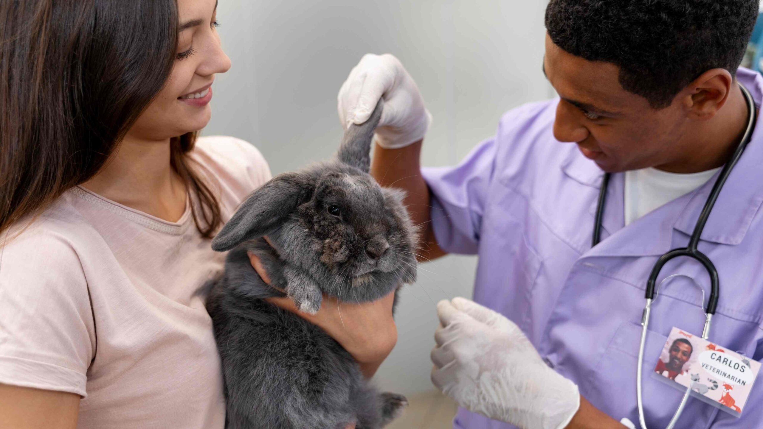 Nasce a ABBEA, primeira associação multissetorial de bem-estar animal do Brasil
