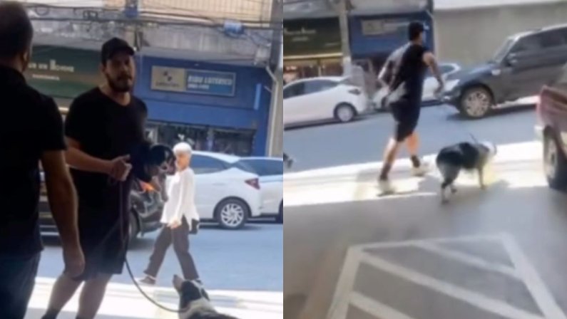 Homem furta filhote de cachorro em pet shop nos Jardins, bairro nobre de SP