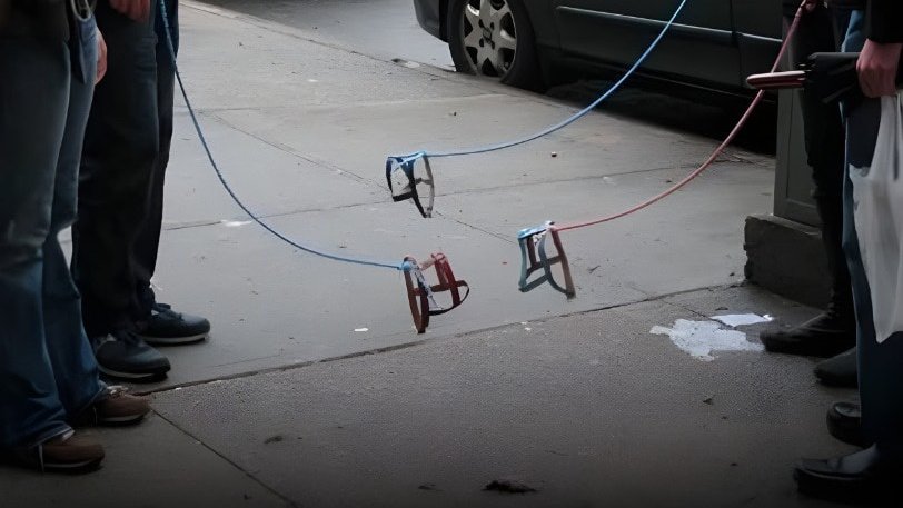 O melhor amigo (imaginário) do homem: entenda a febre do hobby dogging