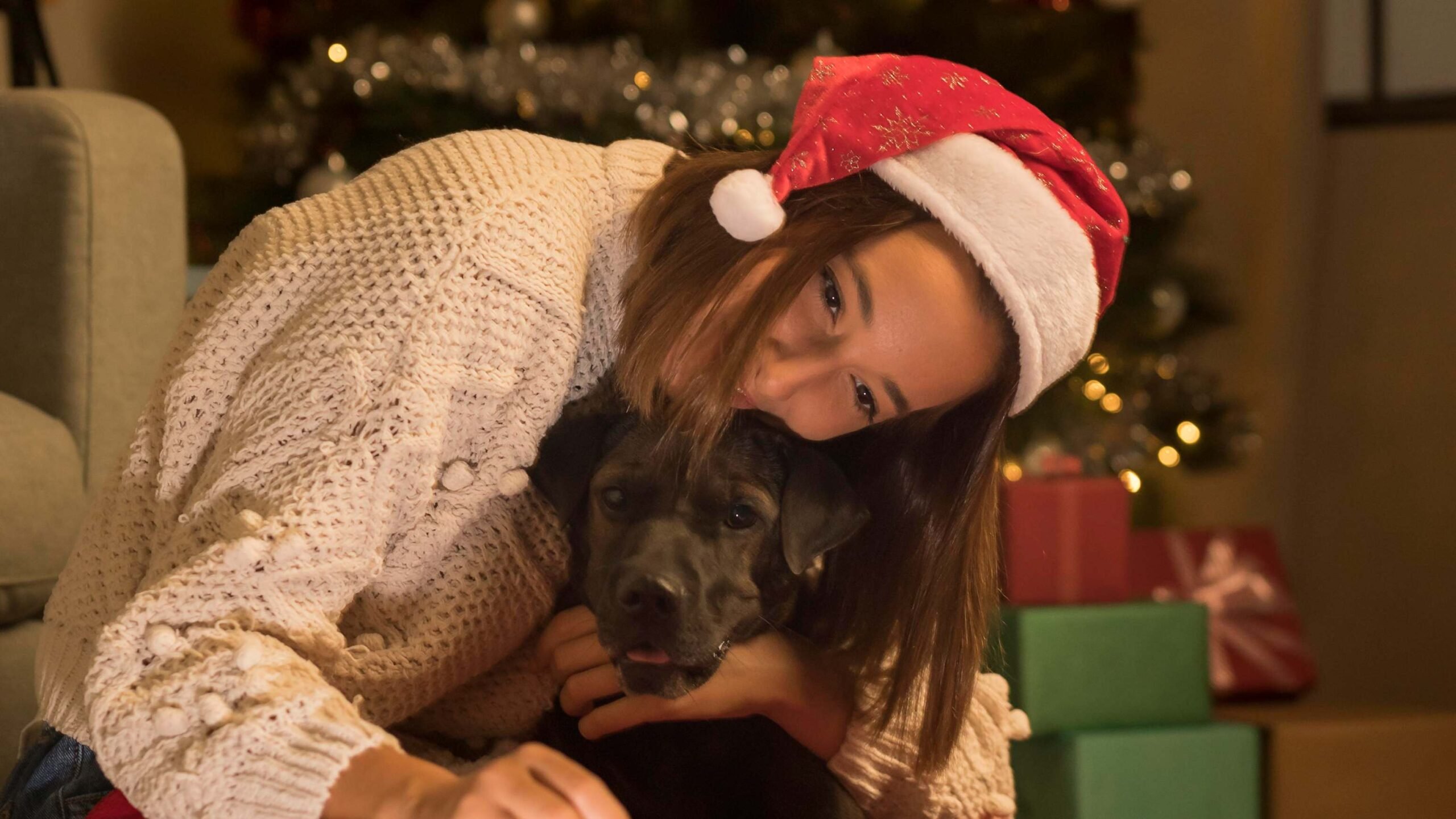 Mulher com chapéu de Papai Noel e seu cão diante de árvore de Natal