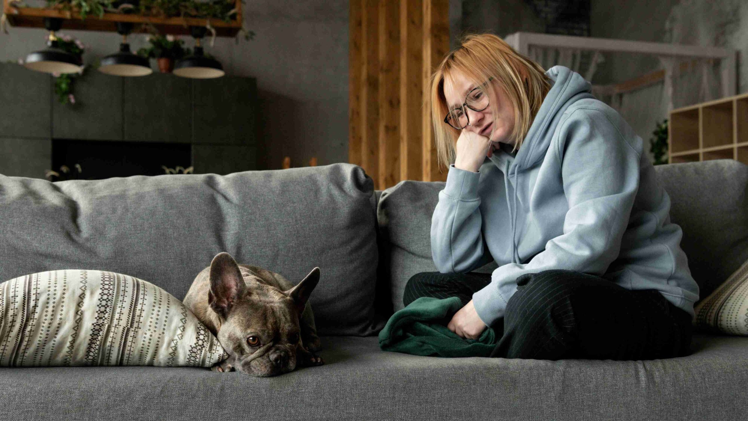 pets contra a depresão