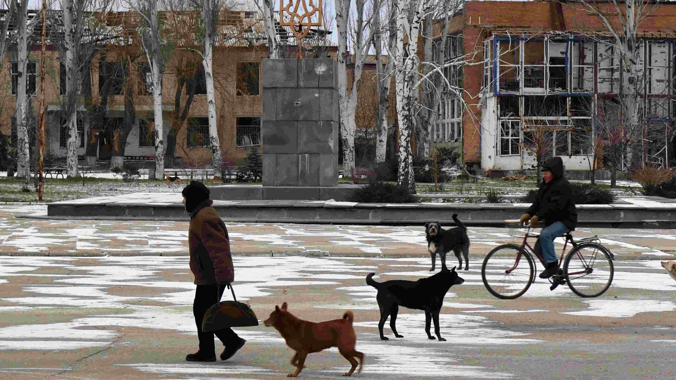 Cães acompanham os poucos moradores restantes na praça central da cidade de Orikhiv, na região de Zaporizhzhia, na Ucrânia