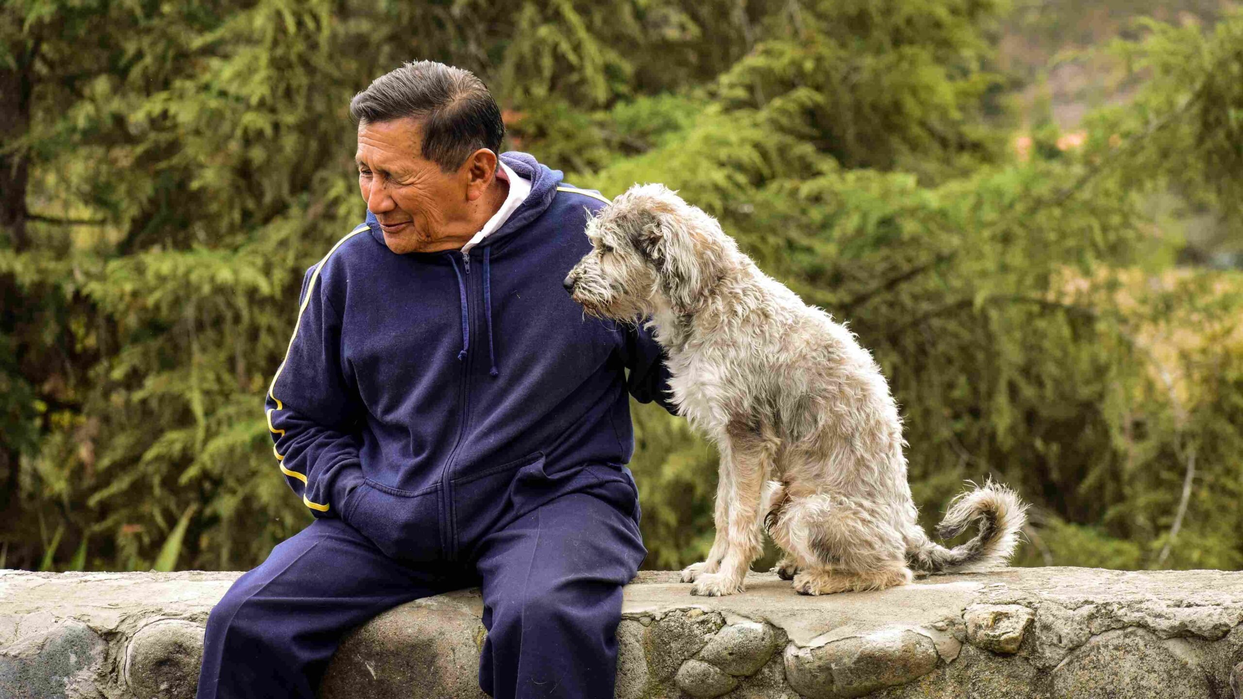 Envelhecimento_ dono e cão idosos